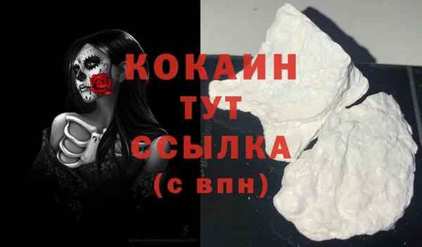 шишки Рославль